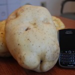 BIG Potato!