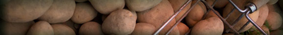 header-potatoes